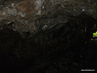 conco di Liricio-24-03-2013 10-27-38